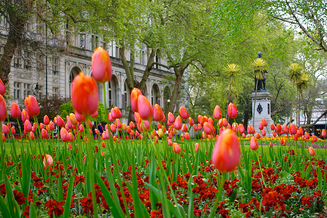 Embankment Gardens