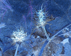 P1510824