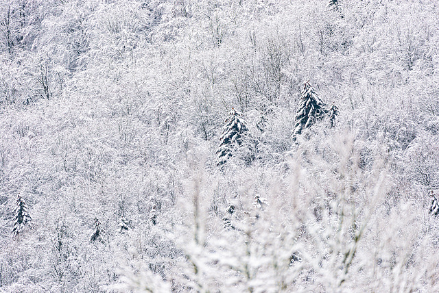 Rhön - 20210101