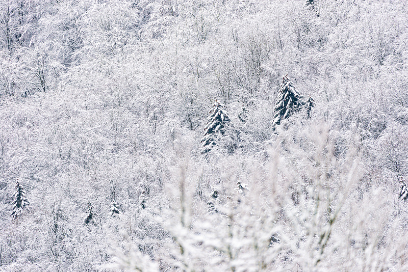 Rhön - 20210101