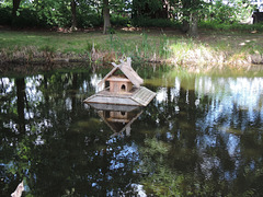 Dorfteich in Mückendorf /2