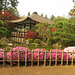 Japanischer Bonsaigarten