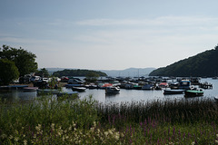 Balmaha Marina