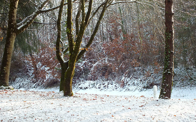 Neige en Périgord