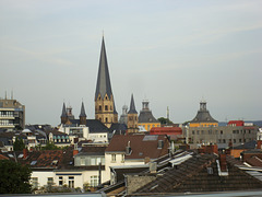 Blick auf Münster und Uni