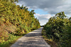 Balkon-Promenade (Halde Hoheward, Herten) / 8.09.2024