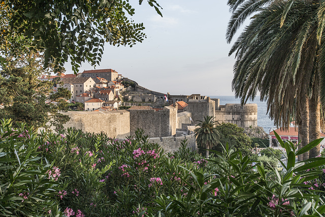 Dubrovnik - Croazia