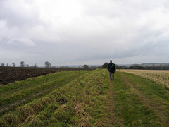 Reunion with the Staffordshire Way, walking towards Parkgate Lock