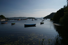 Loch Lomond At Balmaha