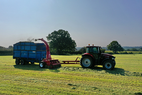 Silage time