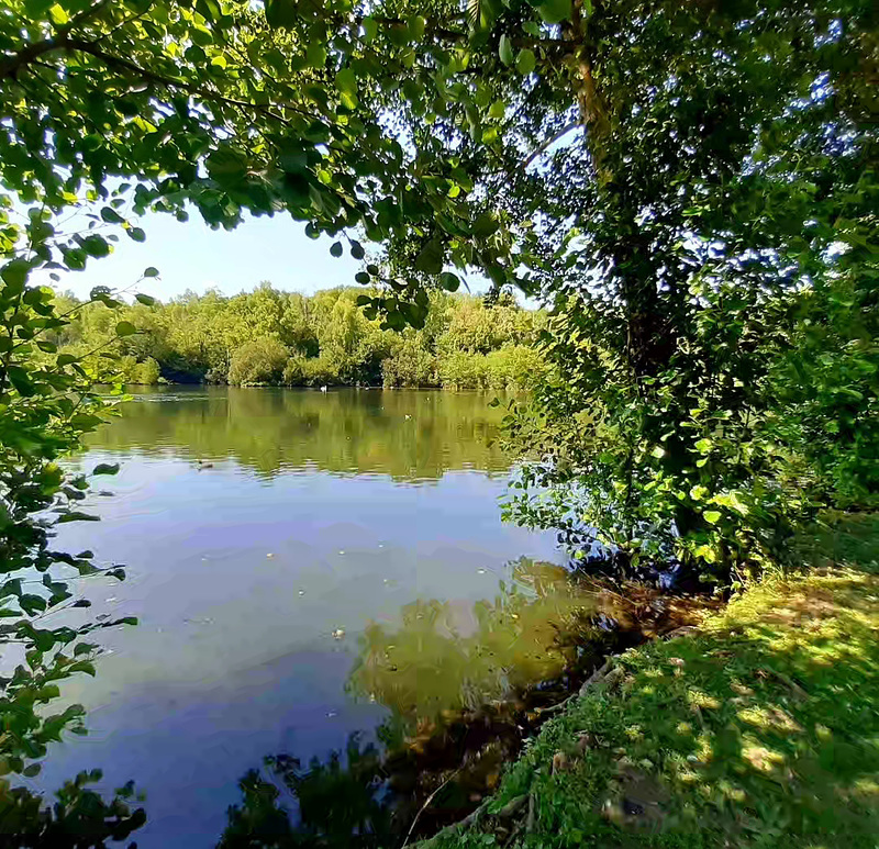 Etang dans son écrin de verdure
