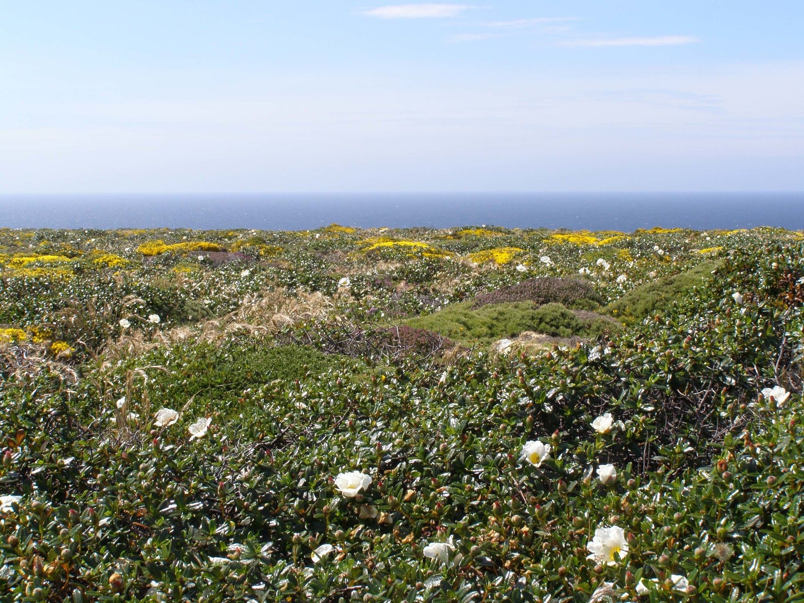 Cabo de Sao Vicente