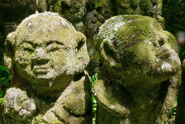 Temple Otagi Nenbutsu-ji (愛宕念仏寺) (5)