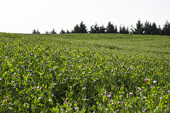 Fotoworkshop Natura 2000 - Landschaftsfotografie