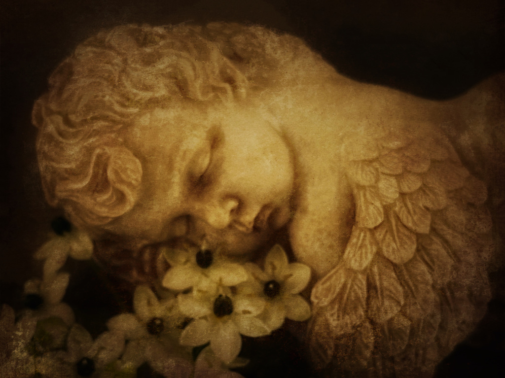31:3:2023 cherub 2