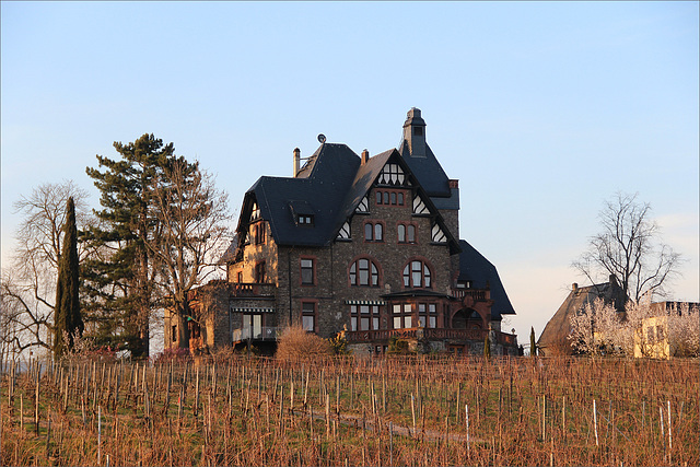 Haus zwischen den Reben