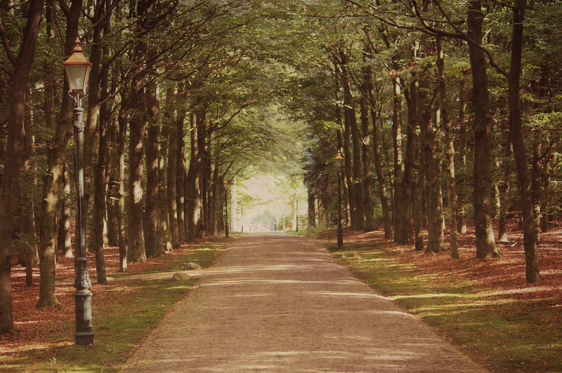 Early autumn walk