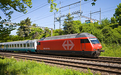 090507 Re460 Malley