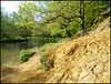 golden sands by the Wey