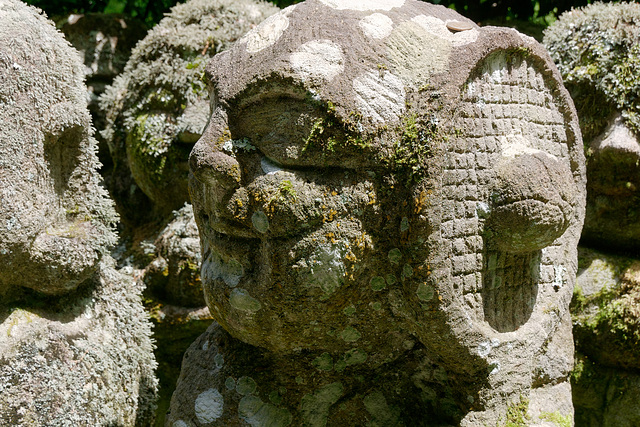 Temple Otagi Nenbutsu-ji (愛宕念仏寺) (6)