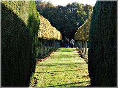 Les jardins de la Ravillais à Ploubalay (22)