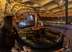 Scenes from visit to  Macallan's new award-winning distillery