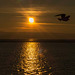 West Kirby marine lake sunsets (1)
