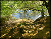 steep sandy path to the river