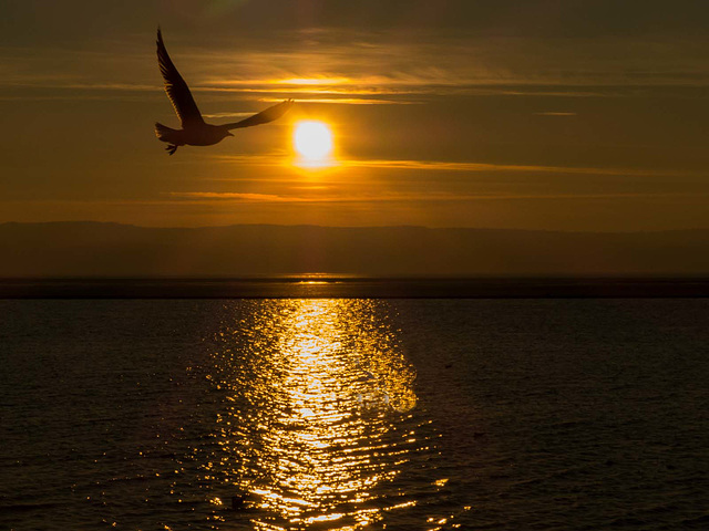 West Kirby marine lake sunsets (2)