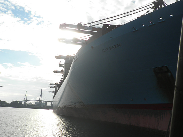 unter der ELLY MAERSK