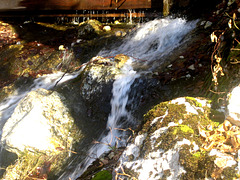 Cascade dnas le Jura