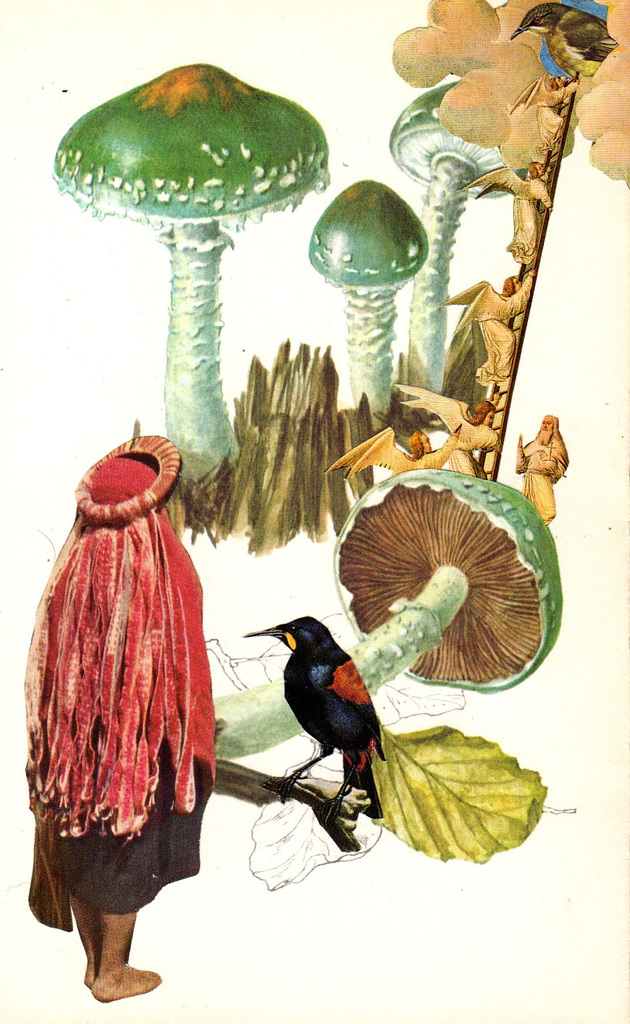 Forest Of The Sacred And The Profane