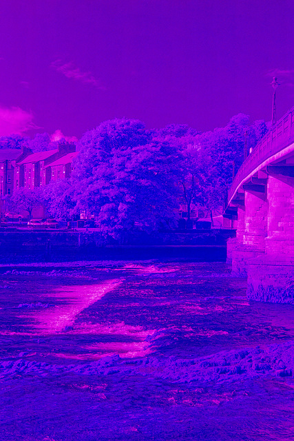 River Leven- Ultraviolet