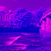 River Leven- Ultraviolet