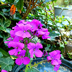 P1024800