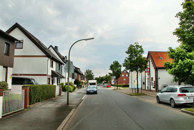 Im Odemsloh (Dortmund-Bodelschwingh) / 11.07.2020