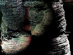 Barbed art