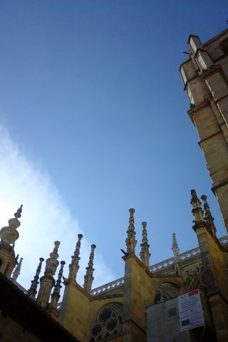 Cathédrale de León, clochetons (Castille-et-León, Espagne)