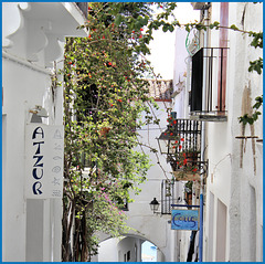 Cadaqués (E, Catalunya). 20 mai 2015.