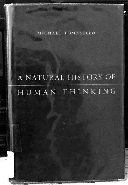 A NATURAL HISTORY OF HUMAN THINKING