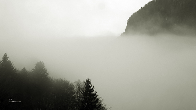 Nebel ziehen ~ ~ ~