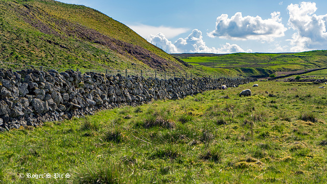 A Rather Rural Wall.