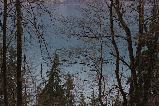 Blick auf den Brienzer See