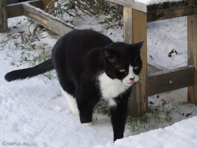 Tasting the winter... Explored 05.02.2015, #112