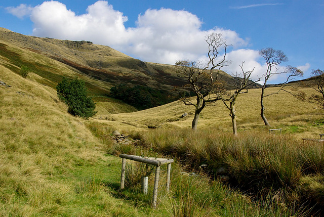 Below  Kinder