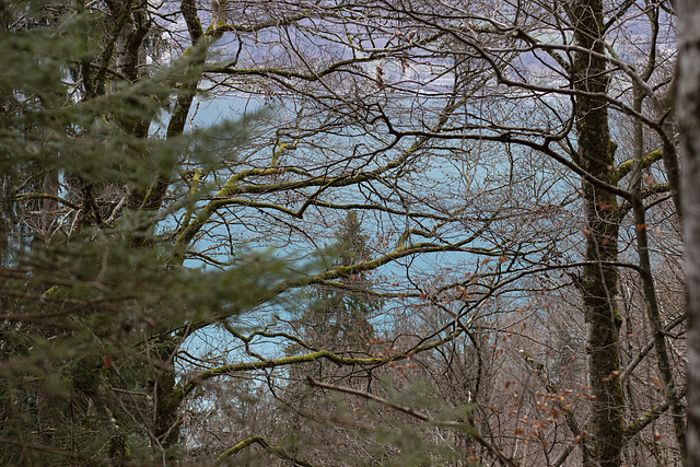 Blick auf den Brienzer See