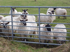 oad - why are ewe waiting ?