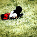 Mickey...drunk again.