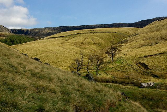 View back to Kinder Scout