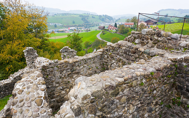 111015 Kussnacht Gesslerburg D